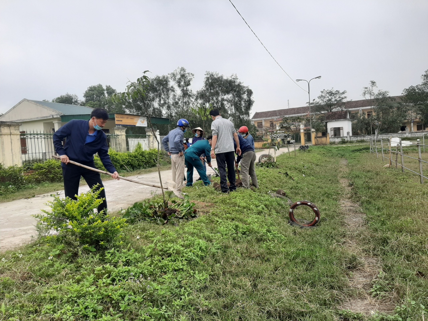 trồng cây 1